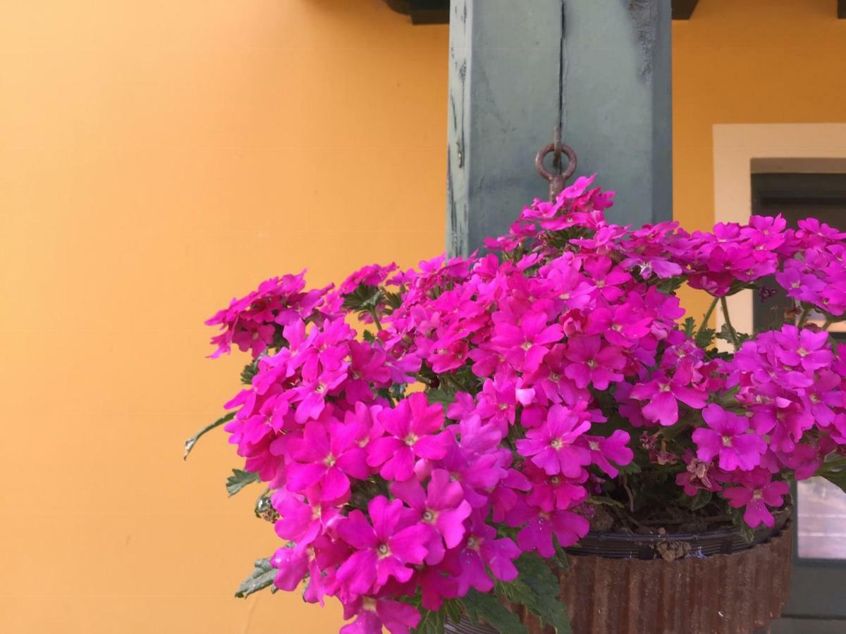 Apartamento Camangu C Daire Camango Dış mekan fotoğraf